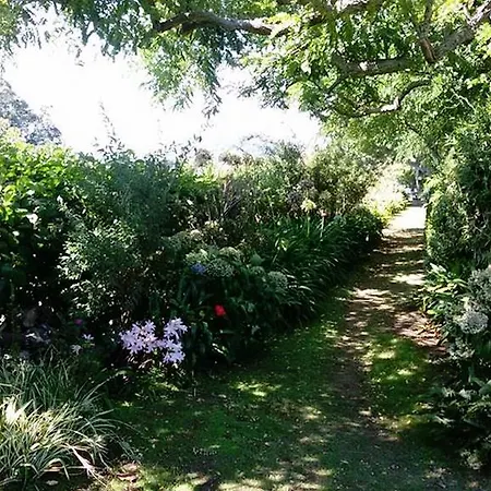Quinta Bolas Holiday home *