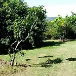 Quinta Bolas *