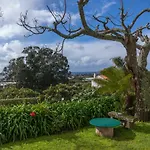 Quinta Bolas Ponta Delgada