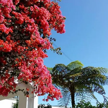 Holiday home Quinta Bolas Ponta Delgada (Sao Miguel)