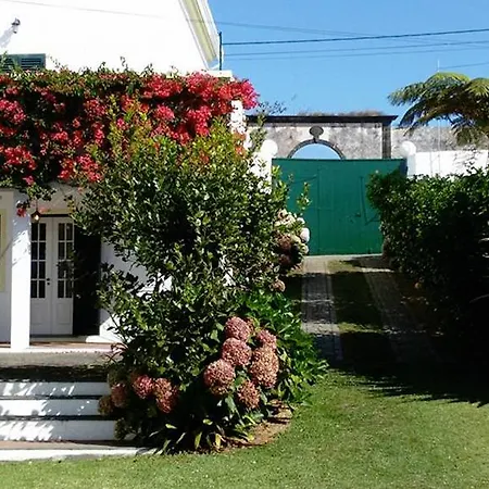 Quinta Bolas