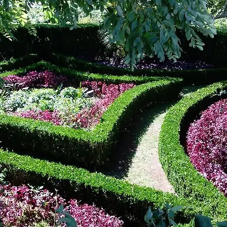 Quinta Bolas * Ponta Delgada (Sao Miguel)