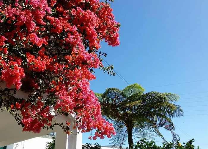 Casa vacanze Quinta Bolas Ponta Delgada