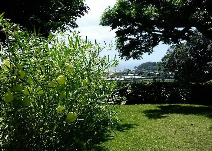 Quinta Bolas 蓬塔德尔加达